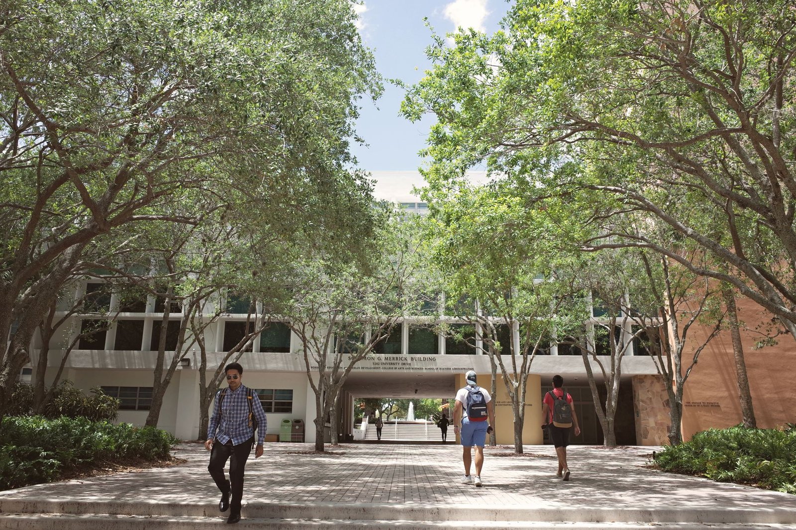 Tree-lined university campus walkway